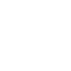 handicap icon